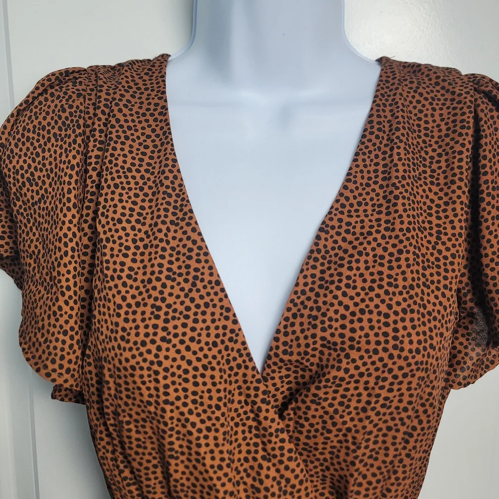 NWT - Blue Rain from Francesca's Leopard Dress - Picture 5 of 13